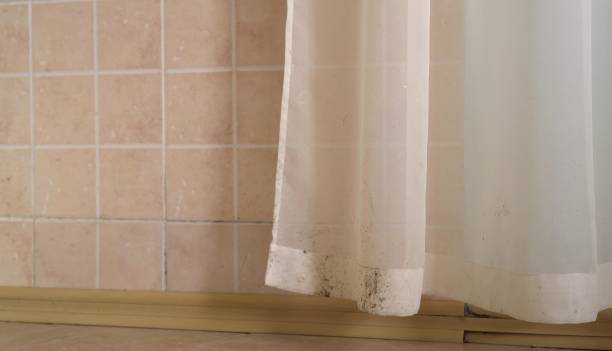 Best Environmental Consulting for Mold Prevention  in Tifton, GA