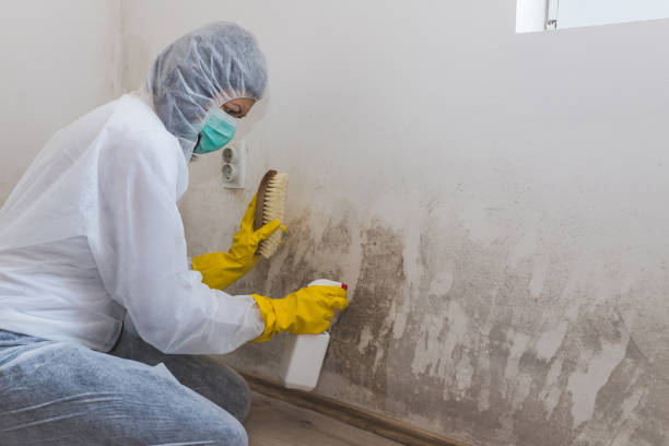 Best Forensic Mold Investigation  in Tifton, GA