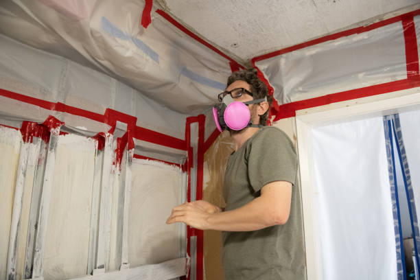 Best Post-Construction Mold Inspection  in Tifton, GA