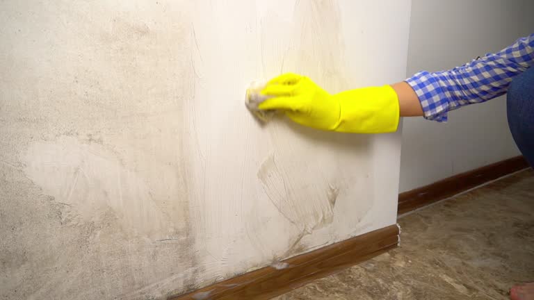 Best Mold Remediation for Healthcare Facilities  in Tifton, GA