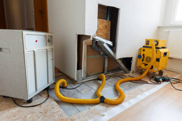 Tifton, GA Mold Removal Pros