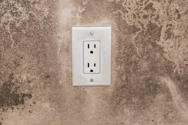 Best Commercial Mold Inspection  in Tifton, GA