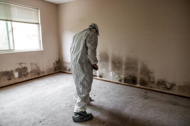 Best Air Quality Testing for Mold Spores  in Tifton, GA