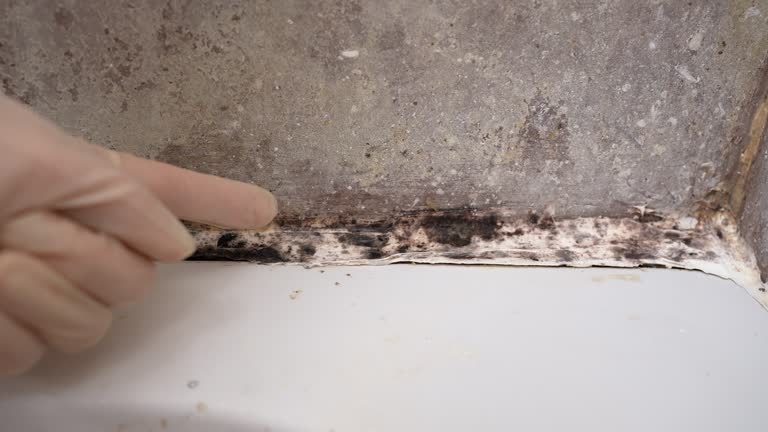 Best Dehumidification Services  in Tifton, GA